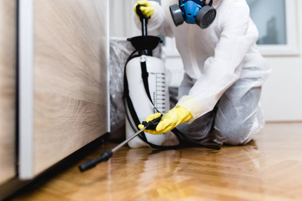 Best Pest Inspection Near Me  in Cusseta, GA