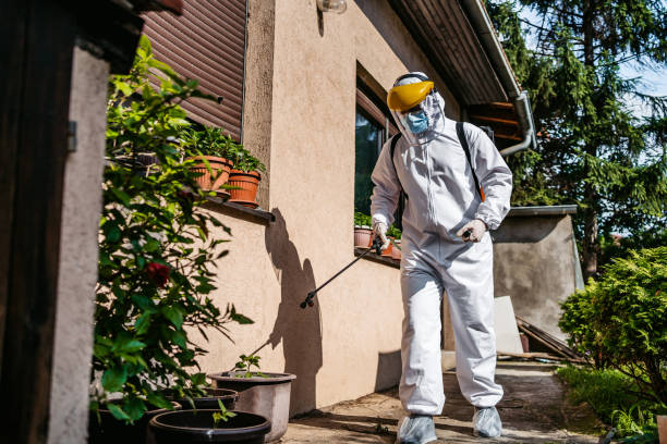 Best Pest Removal Services  in Cusseta, GA