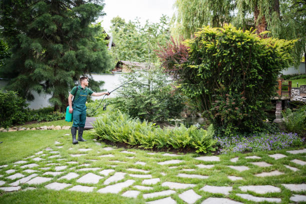 Best Mosquito Control Services  in Cusseta, GA