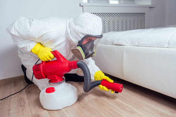 Trusted Cusseta, GA Pest Control Experts