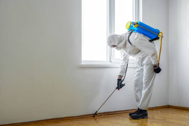 Best Best Pest Control Companies  in Cusseta, GA