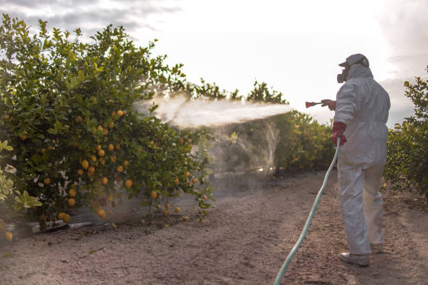 Bird Control in Cusseta, GA