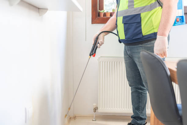 Best Affordable Pest Control Services  in Cusseta, GA