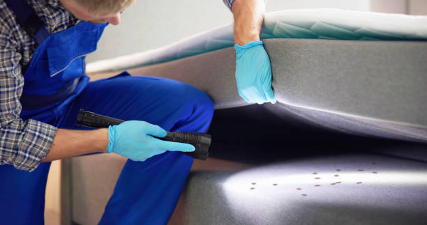 Best Local Pest Control Services  in Cusseta, GA