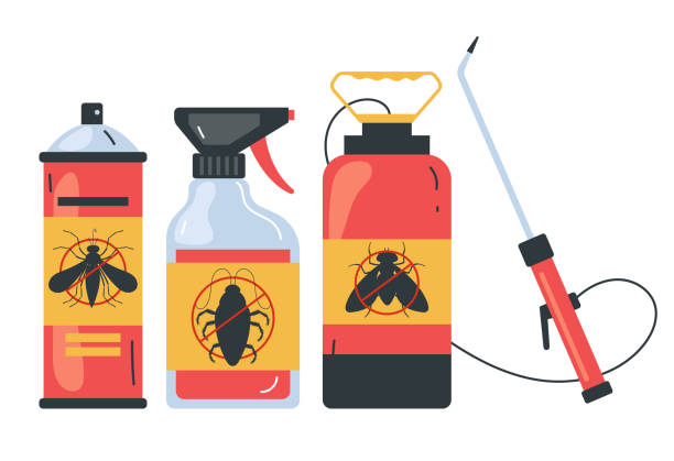Best Bed Bug Extermination  in Cusseta, GA