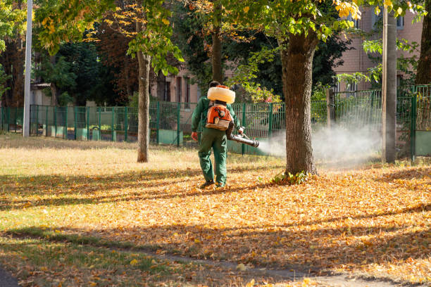 Reliable Cusseta, GA Pest Control Solutions