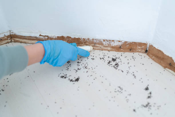 Best Pest Inspection Near Me  in Cusseta, GA