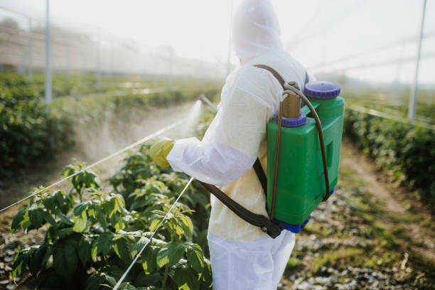 Best Wildlife Control Services  in Cusseta, GA